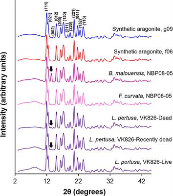 Mineralogy of Deep-Sea Coral Aragonites as a Function of Aragonite Saturation State